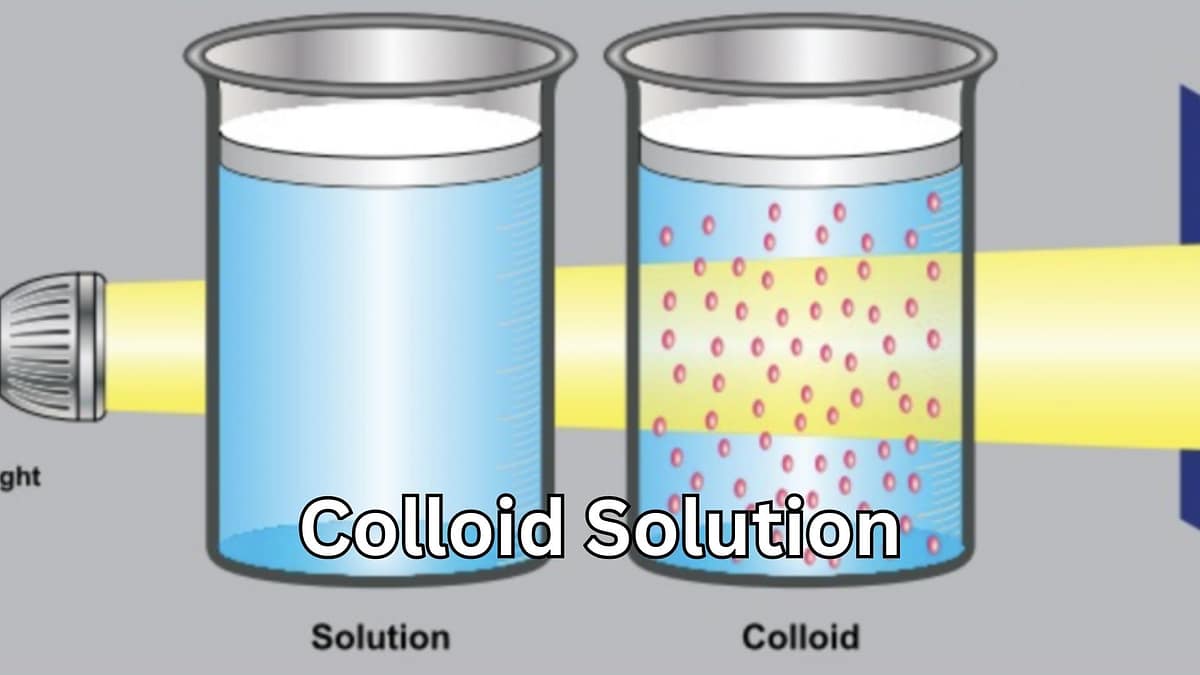 Colloid Solution: The Powerful and Positive Science Behind Everyday Mixtures